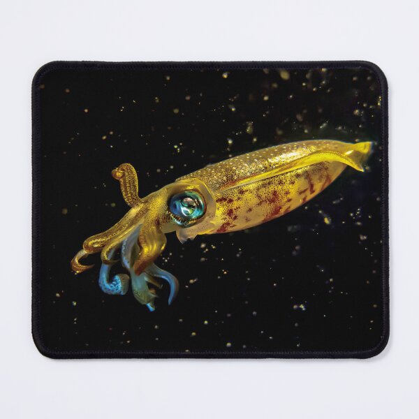 Item preview, golden bigfin reef squid designed and sold by benillis.