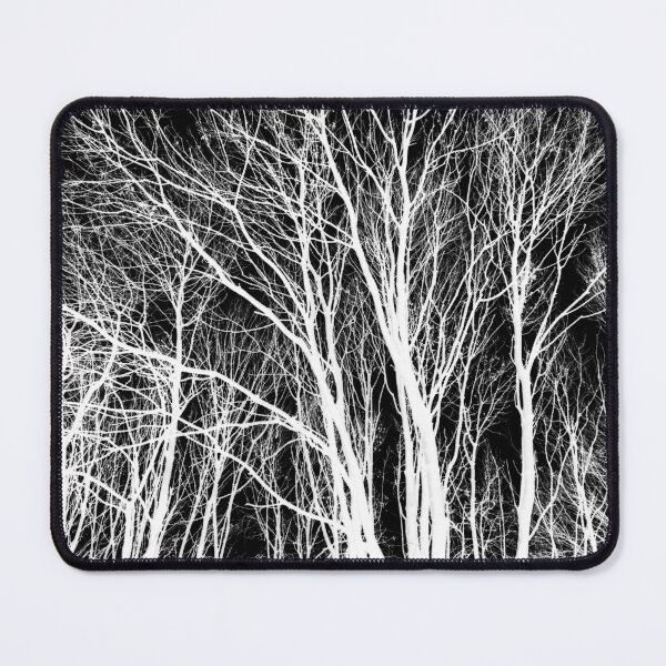 Item preview, Young Autumn ash trees, monochrome inverted designed and sold by paulboizot.