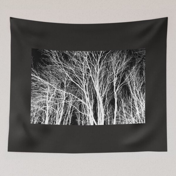 Item preview, Young Autumn ash trees, monochrome inverted designed and sold by paulboizot.