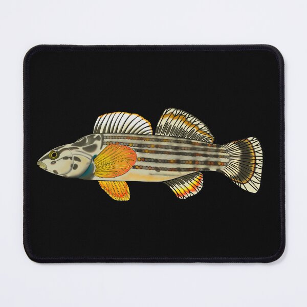 Item preview, Redline darter designed and sold by LittleClayFrog.