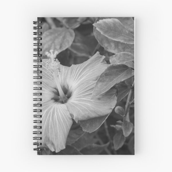 Item preview, This image shows a hibiscus flower characterized by its large, five-petaled form and prominent central staminal  designed and sold by EyezWatchin.