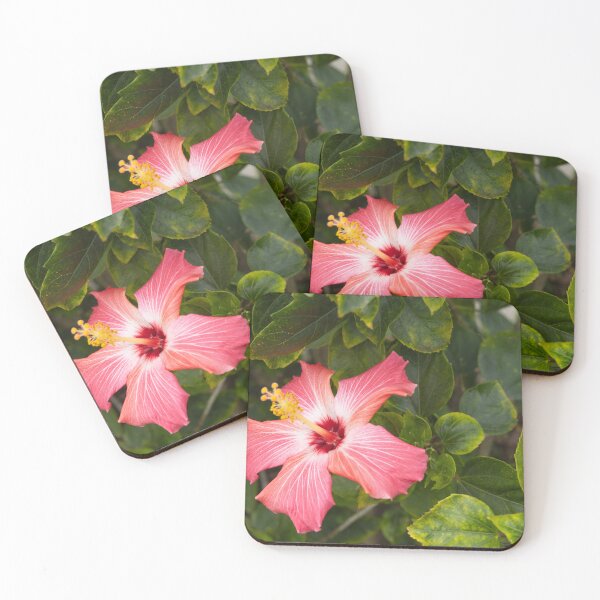 Item preview, This image shows a hibiscus flower characterized by its large, five-petaled form and prominent central staminal  designed and sold by EyezWatchin.