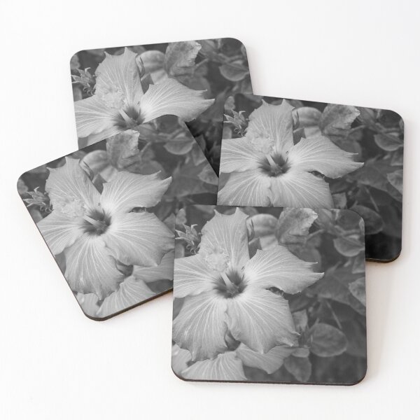 Item preview, This image shows a hibiscus flower characterized by its large, five-petaled form and prominent central staminal column designed and sold by EyezWatchin.