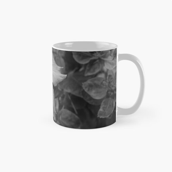 Item preview, This image shows a hibiscus flower characterized by its large, five-petaled form and prominent central staminal column designed and sold by EyezWatchin.