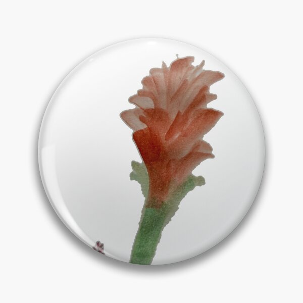 Item preview, waratah designed and sold by gregappel.