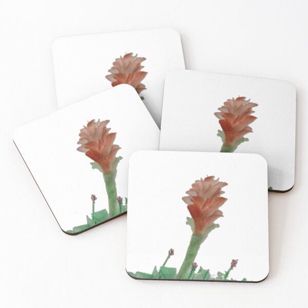 Item preview, waratah designed and sold by gregappel.