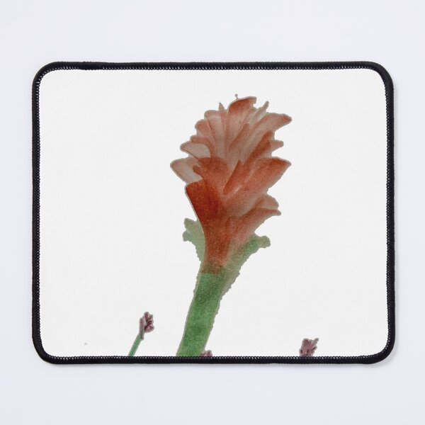 Item preview, waratah designed and sold by gregappel.