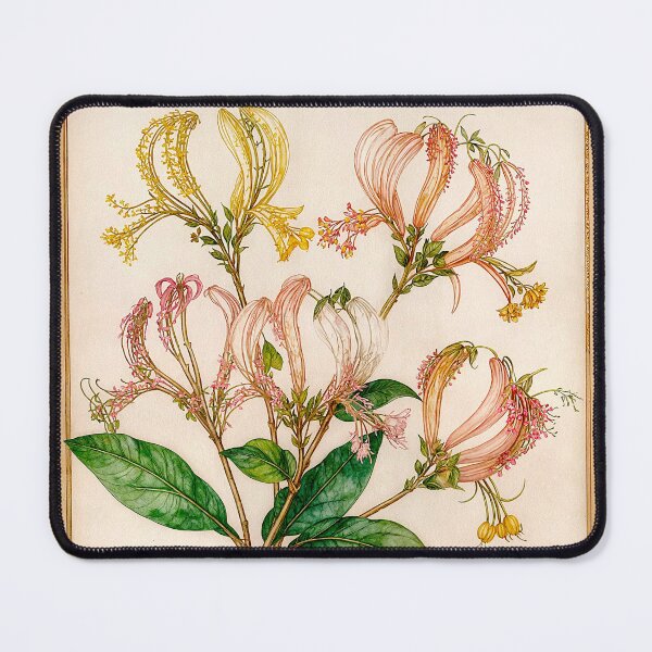 Item preview, Lonicera Periclymenum Honeysuckle #9 designed and sold by Helios Be. Lavsh.