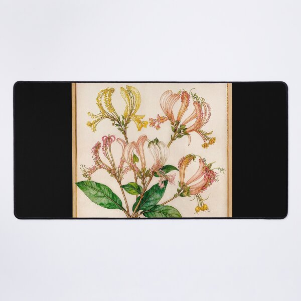 Item preview, Lonicera Periclymenum Honeysuckle #9 designed and sold by Helios Be. Lavsh.