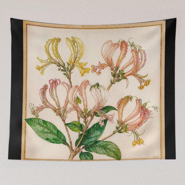 Item preview, Lonicera Periclymenum Honeysuckle #9 designed and sold by Helios Be. Lavsh.