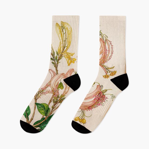 Item preview, Lonicera Periclymenum Honeysuckle #9 designed and sold by Helios Be. Lavsh.