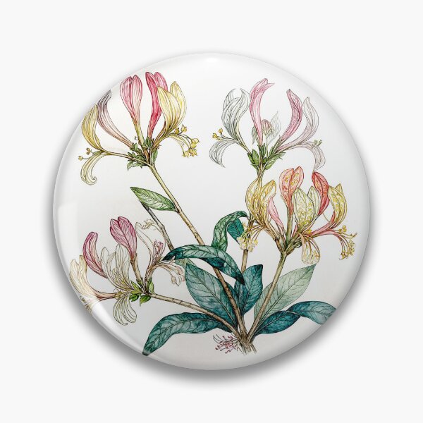Item preview, Lonicera Periclymenum Honeysuckle #10 designed and sold by Helios Be. Lavsh.