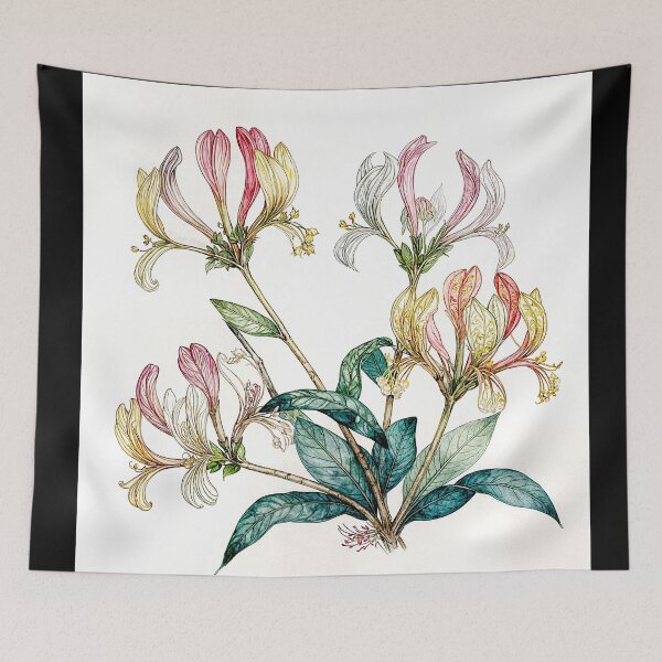 Item preview, Lonicera Periclymenum Honeysuckle #10 designed and sold by Helios Be. Lavsh.