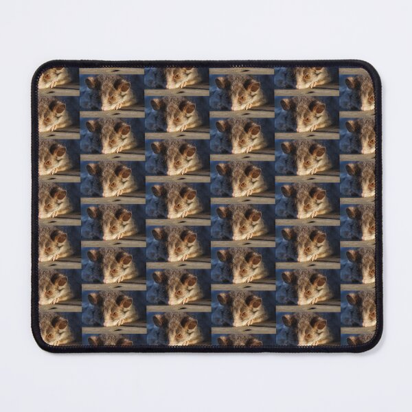 Item preview, Curious Brushtail Possum Close-Up - Magpie Springs designed and sold by MagpieSprings.