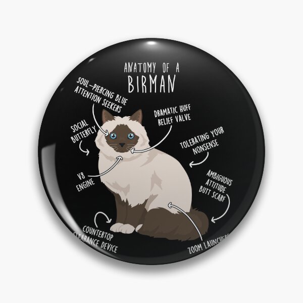 Item preview, Chocolate Point Birman Cat Anatomy designed and sold by Clara Hollins.