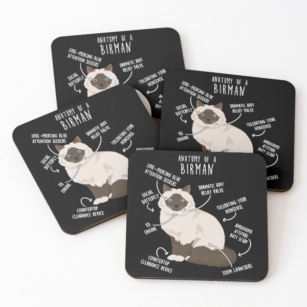 Item preview, Chocolate Point Birman Cat Anatomy designed and sold by Clara Hollins.