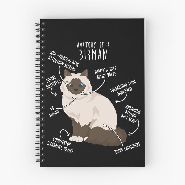 Item preview, Chocolate Point Birman Cat Anatomy designed and sold by Clara Hollins.