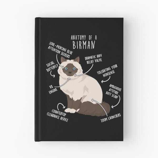 Item preview, Chocolate Point Birman Cat Anatomy designed and sold by Clara Hollins.