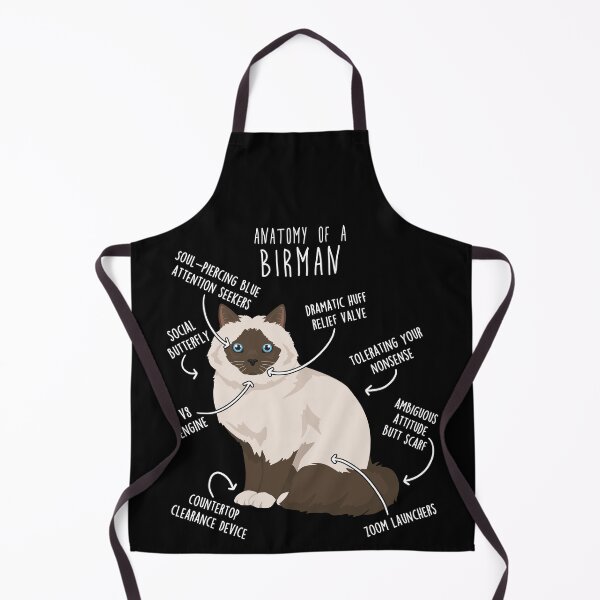 Item preview, Chocolate Point Birman Cat Anatomy designed and sold by Clara Hollins.