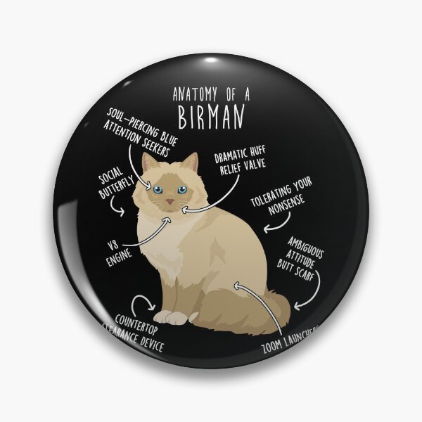 Item preview, Cream Point Birman Cat Anatomy designed and sold by Clara Hollins.