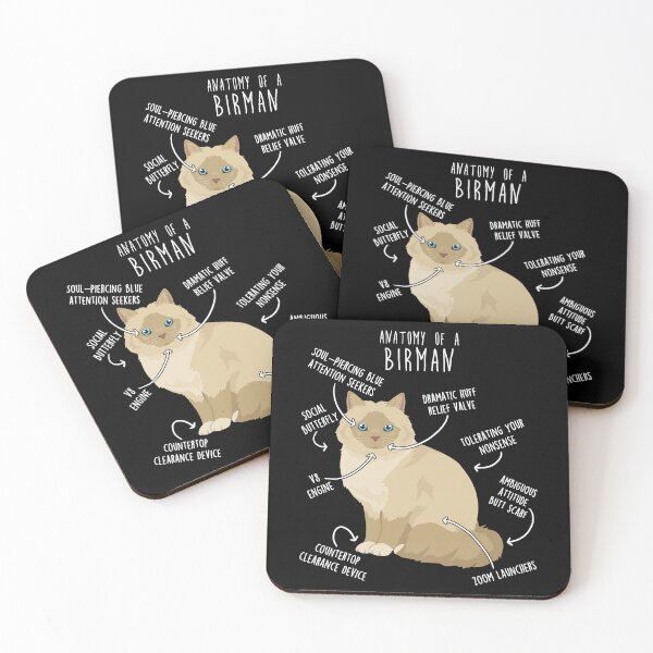 Item preview, Cream Point Birman Cat Anatomy designed and sold by Clara Hollins.