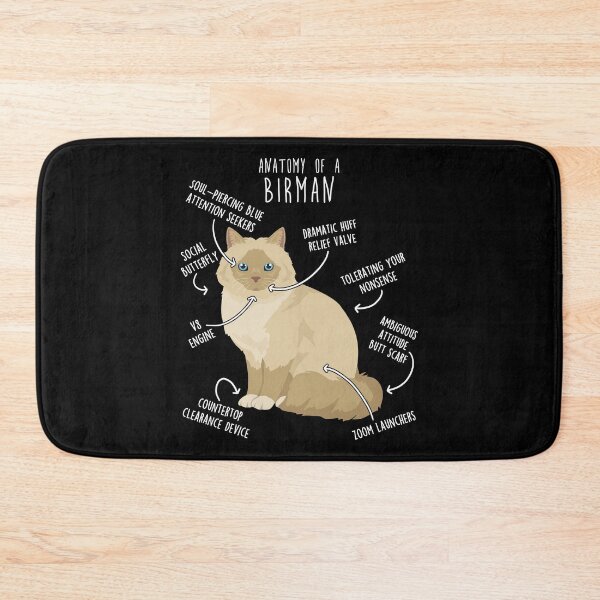 Item preview, Cream Point Birman Cat Anatomy designed and sold by Clara Hollins.