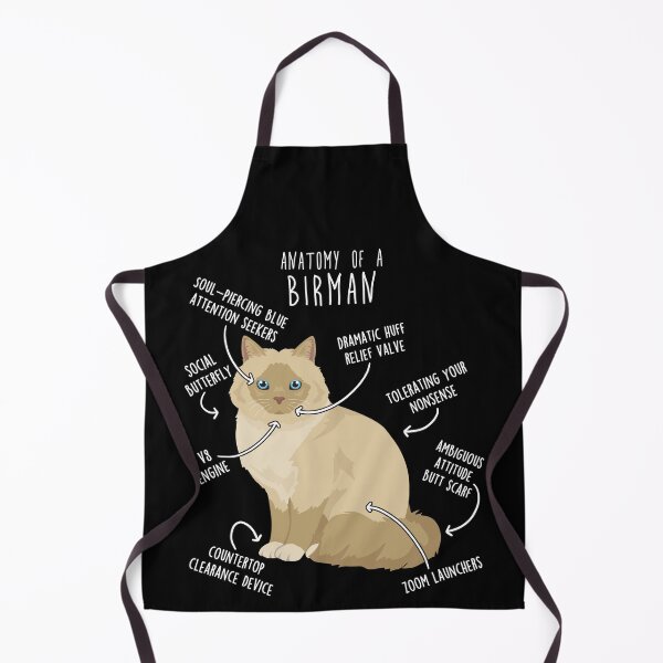 Item preview, Cream Point Birman Cat Anatomy designed and sold by Clara Hollins.