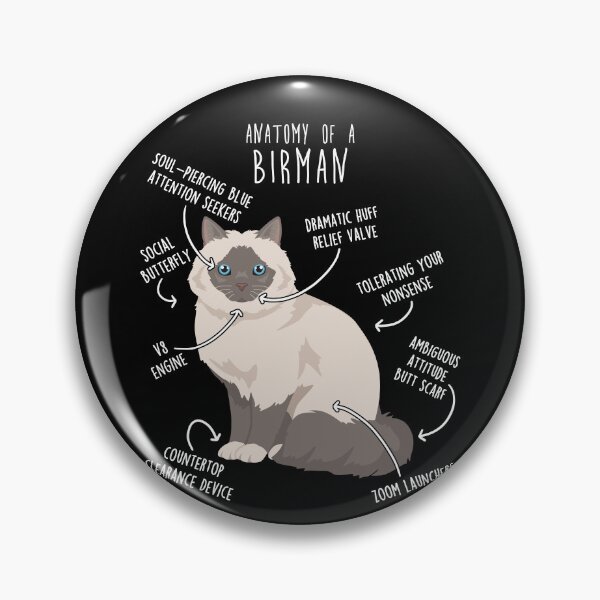 Item preview, Lilac Point Birman Cat Anatomy designed and sold by Clara Hollins.