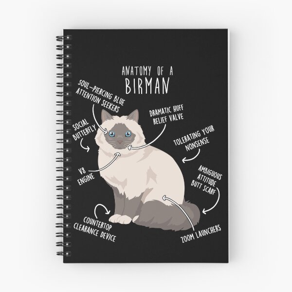 Item preview, Lilac Point Birman Cat Anatomy designed and sold by Clara Hollins.