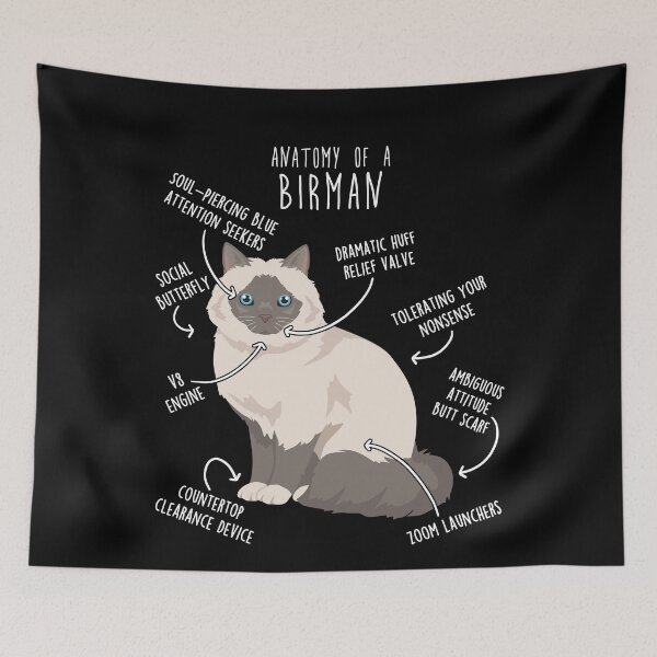Item preview, Lilac Point Birman Cat Anatomy designed and sold by Clara Hollins.