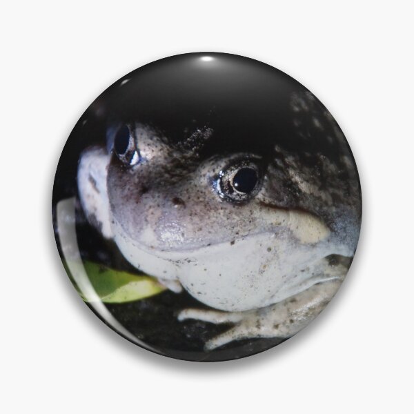 Item preview, Pobblebonk Frog Portrait - Magpie Springs designed and sold by MagpieSprings.