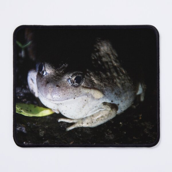 Item preview, Pobblebonk Frog Portrait - Magpie Springs designed and sold by MagpieSprings.