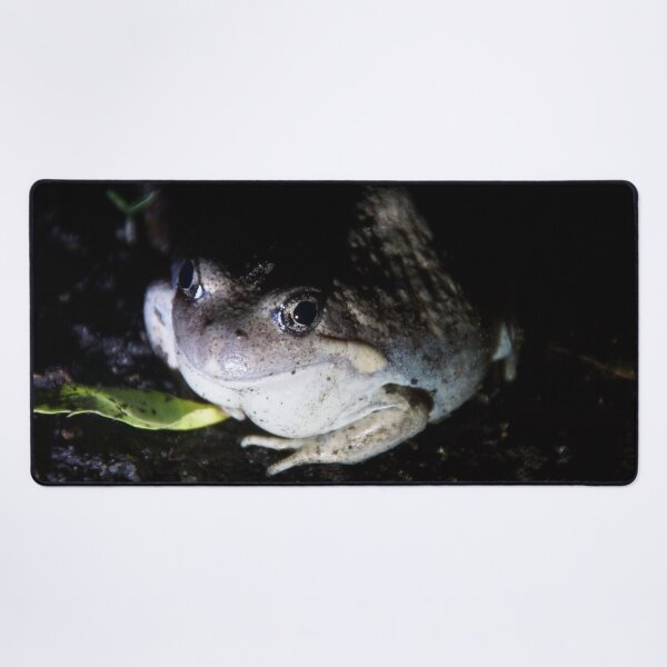Item preview, Pobblebonk Frog Portrait - Magpie Springs designed and sold by MagpieSprings.