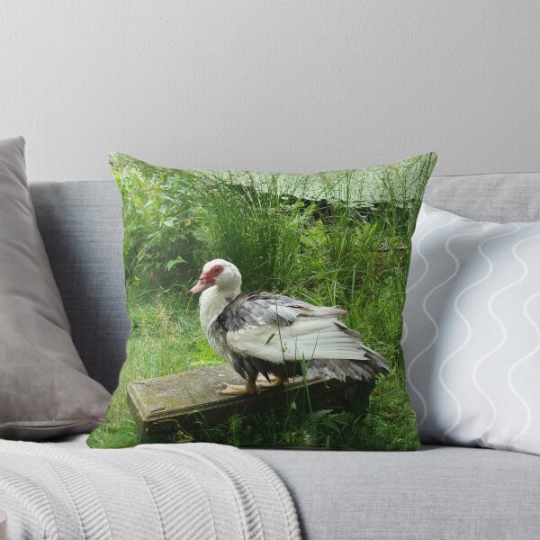 Item preview, Blue Pied Muscovy Duck designed and sold by imphavok.