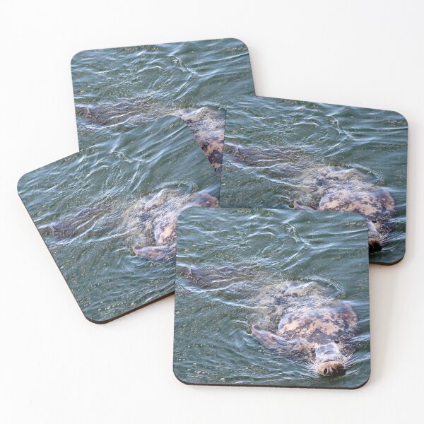 Item preview, Belly Up designed and sold by Kerri Ann McClellan.