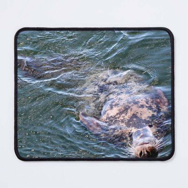 Item preview, Belly Up designed and sold by Kerri Ann McClellan.