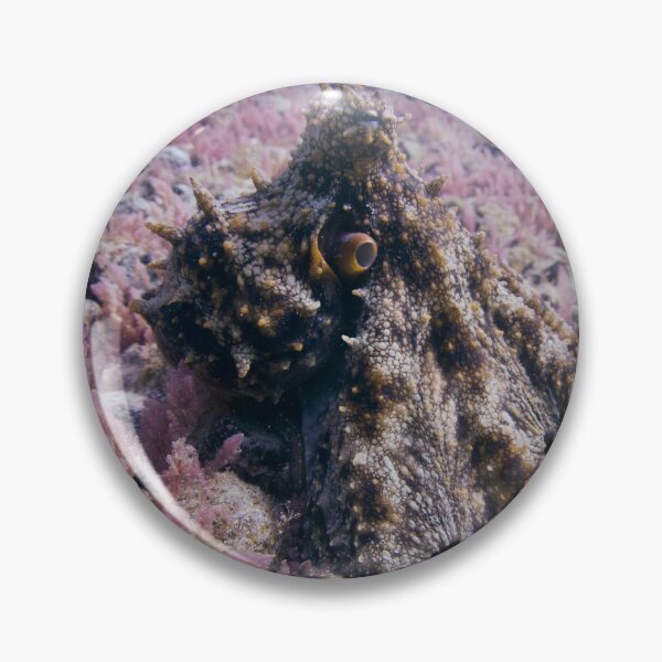 Item preview, pink octo garden designed and sold by benillis.