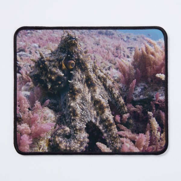 Item preview, pink octo garden designed and sold by benillis.