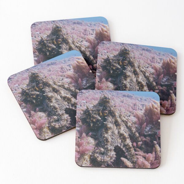 Item preview, pink octo garden designed and sold by benillis.