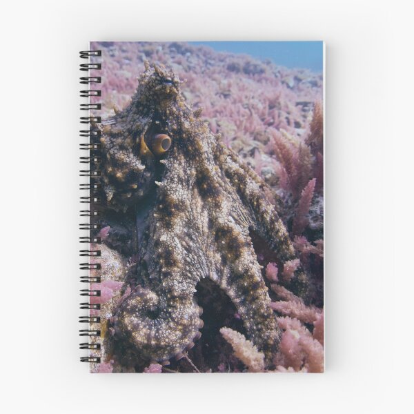 Item preview, pink octo garden designed and sold by benillis.