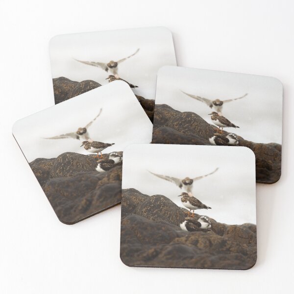 Item preview, Pájaros volando designed and sold by Calidris Alba.