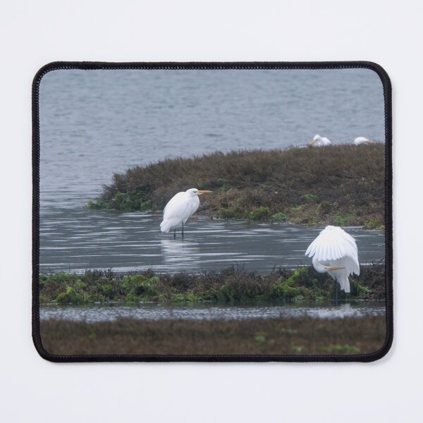 Item preview, Great Egrets in estuary with wing detail designed and sold by lisavonbiela.