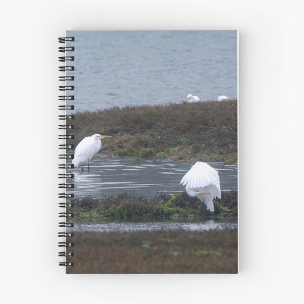 Item preview, Great Egrets in estuary with wing detail designed and sold by lisavonbiela.