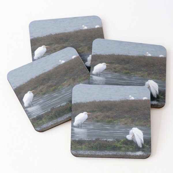 Item preview, Great Egret wing preening detail designed and sold by lisavonbiela.