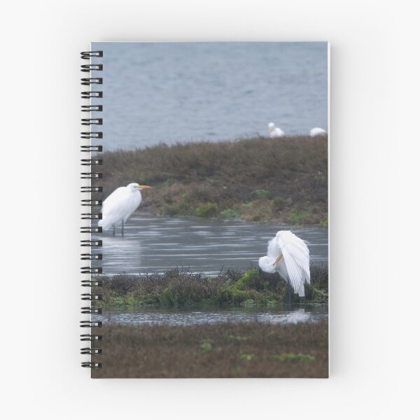 Item preview, Great Egret wing preening detail designed and sold by lisavonbiela.