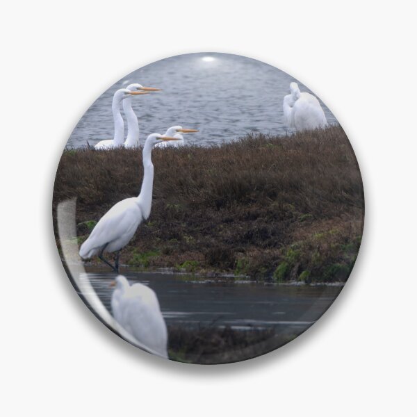 Item preview, Four Great Egrets pointing to the right designed and sold by lisavonbiela.