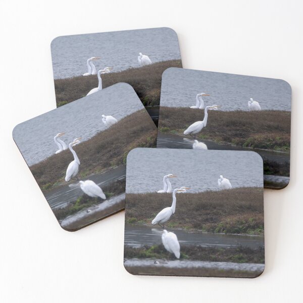 Item preview, Four Great Egrets pointing to the right designed and sold by lisavonbiela.