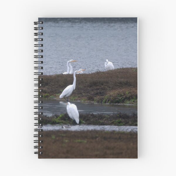 Item preview, Four Great Egrets pointing to the right designed and sold by lisavonbiela.