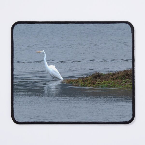Item preview, Single windblown Great Egret with neck extended designed and sold by lisavonbiela.