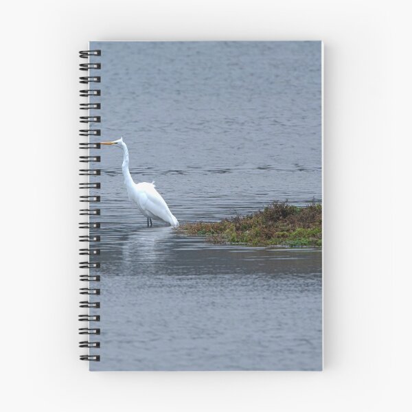 Item preview, Single windblown Great Egret with neck extended designed and sold by lisavonbiela.
